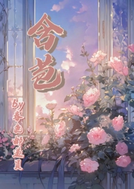 花边领子女短袖