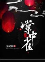 掌中宝是什么